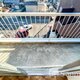 物件画像7