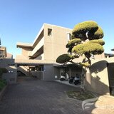 スカール今村
