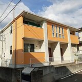 プリムローズ桜