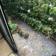 物件画像11