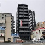 ＭＡＹＦＡＩＲ　ＨＯＮＭＡＣＨＩ　ＰＲＥＭＩＵＭ