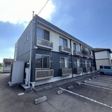 レオネクストモミの木