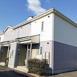 サンフラワー