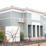 ミモザ