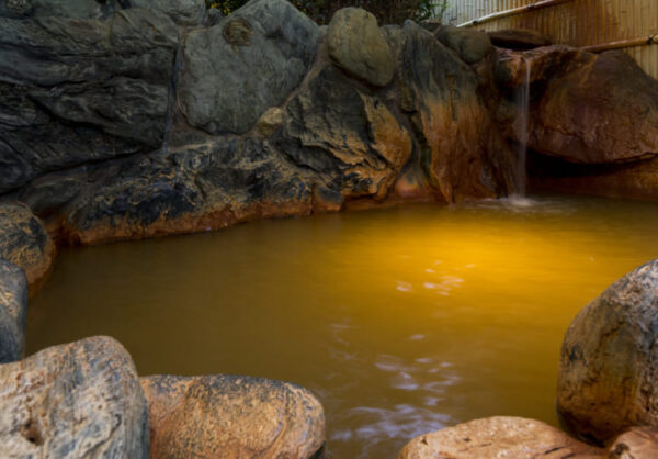 【2022年OJT】ていれぎの湯は600円で大満足！愛媛・松山市の温泉