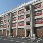 【アイルーロス】猫と暮らす松山市高浜町の賃貸マンション・ルームツアーあり！