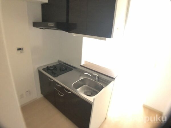 Ｍｉｎｔ　Ｅｌｖｉｔａ　キッチン