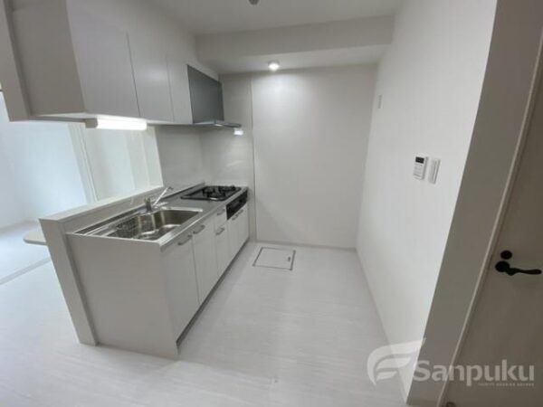 Ｐａｒｔｅｎａｉｒｅ　Ｋｕｍａｎｏｄａｉ　Ｒｅｖｅｌｉｚｅ．