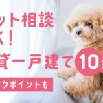松山市│ペット相談OKの一戸建て10選と賃貸物件のチェックポイント