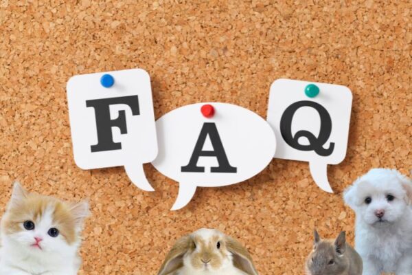 ペット可物件のQ&A