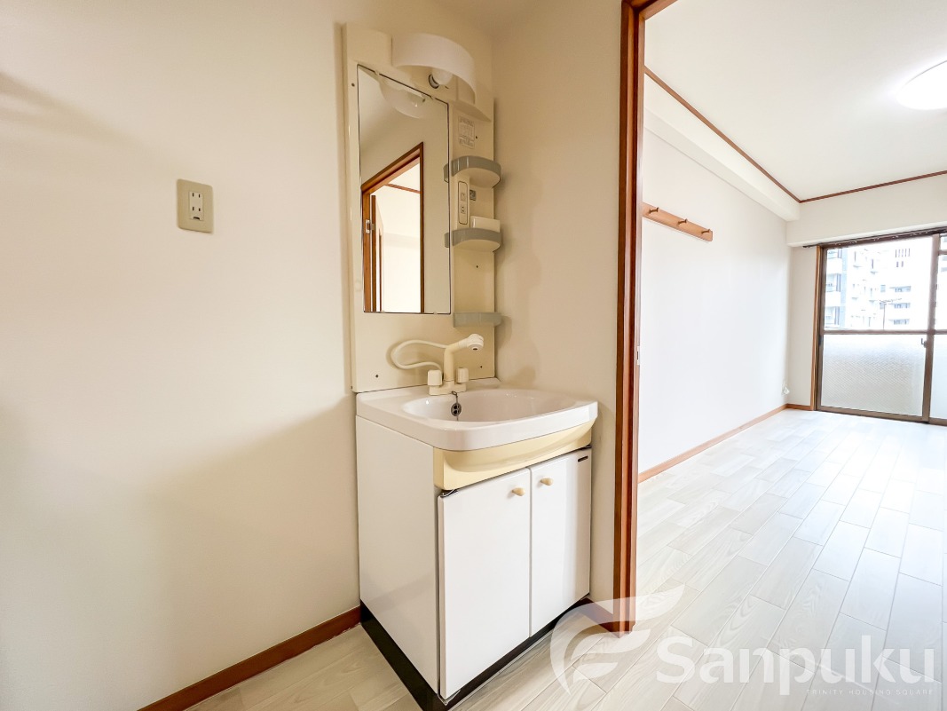 シャンプードレッサー